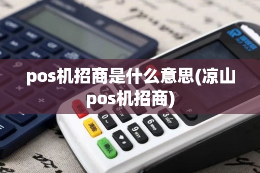 pos机招商是什么意思(凉山pos机招商)