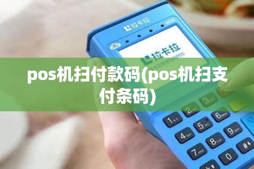 pos机扫付款码(pos机扫支付条码)
