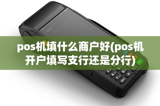 pos机填什么商户好(pos机开户填写支行还是分行)