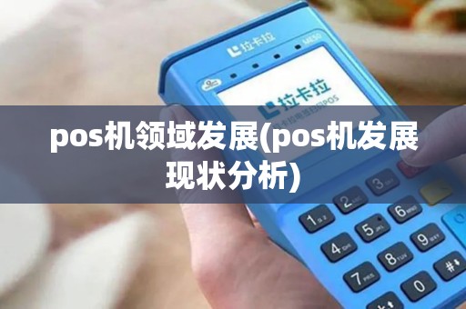 pos机领域发展(pos机发展现状分析)