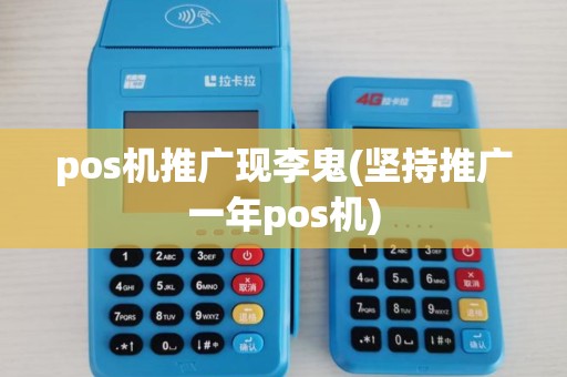 pos机推广现李鬼(坚持推广一年pos机)