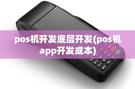 pos机开发底层开发(pos机app开发成本)