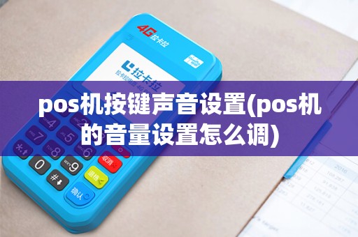 pos机按键声音设置(pos机的音量设置怎么调)
