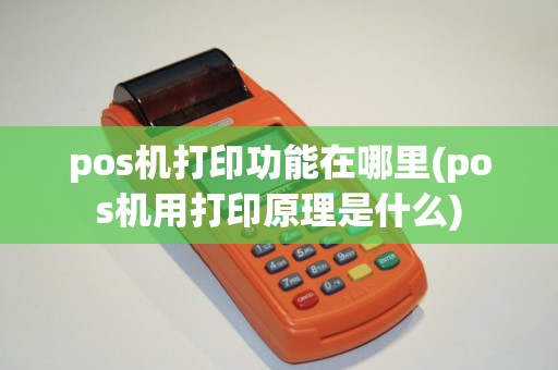 pos机打印功能在哪里(pos机用打印原理是什么)