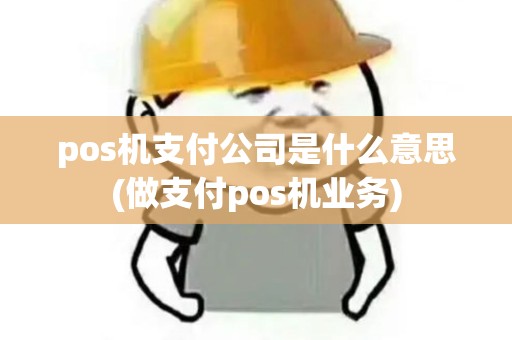 pos机支付公司是什么意思(做支付pos机业务)