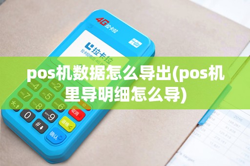 pos机数据怎么导出(pos机里导明细怎么导)