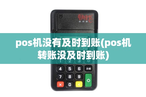 pos机没有及时到账(pos机转账没及时到账)