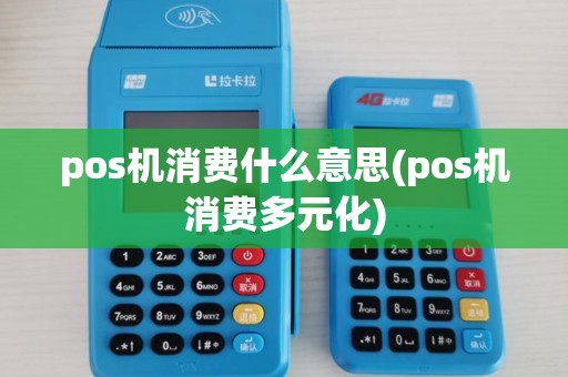 pos机消费什么意思(pos机消费多元化)