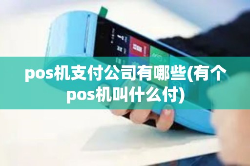 pos机支付公司有哪些(有个pos机叫什么付)