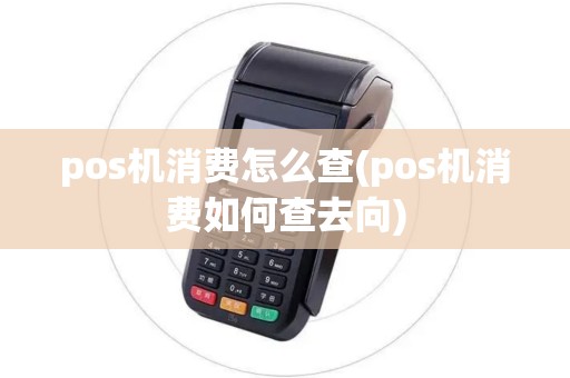 pos机消费怎么查(pos机消费如何查去向)
