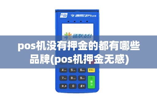 pos机没有押金的都有哪些品牌(pos机押金无感)