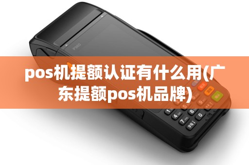 pos机提额认证有什么用(广东提额pos机品牌)