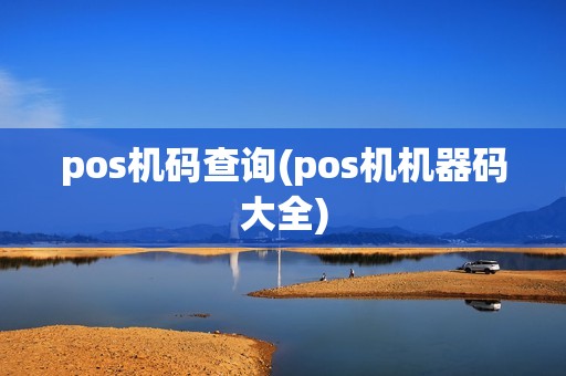 pos机码查询(pos机机器码大全)