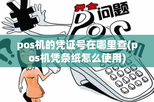 pos机的凭证号在哪里查(pos机凭条纸怎么使用)