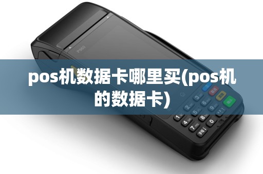 pos机数据卡哪里买(pos机的数据卡)