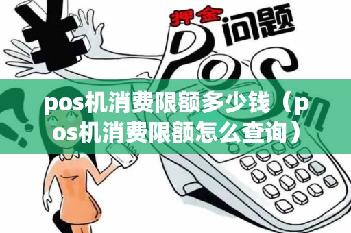 pos机消费限额多少钱（pos机消费限额怎么查询）