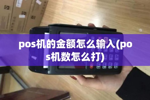 pos机的金额怎么输入(pos机数怎么打)