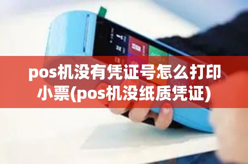 pos机没有凭证号怎么打印小票(pos机没纸质凭证)