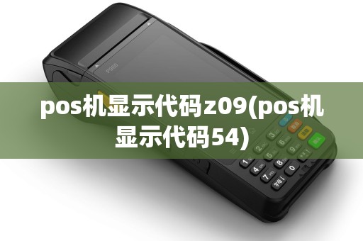pos机显示代码z09(pos机显示代码54)