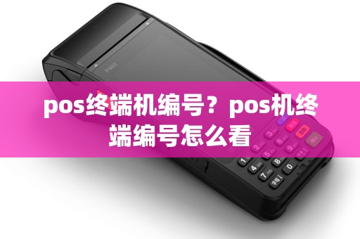 pos终端机编号？pos机终端编号怎么看