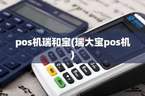 pos机瑞和宝(瑞大宝pos机)