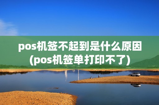 pos机签不起到是什么原因(pos机签单打印不了)