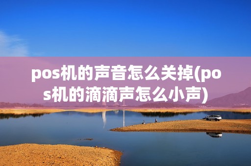 pos机的声音怎么关掉(pos机的滴滴声怎么小声)