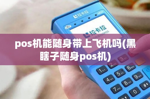 pos机能随身带上飞机吗(黑瞎子随身pos机)