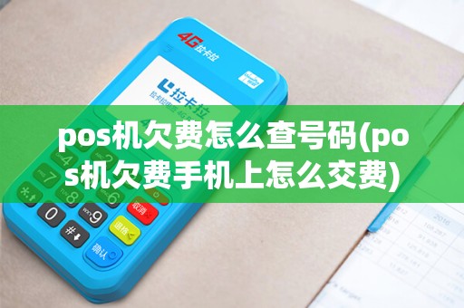 pos机欠费怎么查号码(pos机欠费手机上怎么交费)