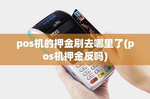 pos机的押金刷去哪里了(pos机押金反吗)