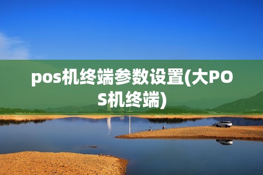 pos机终端参数设置(大POS机终端)