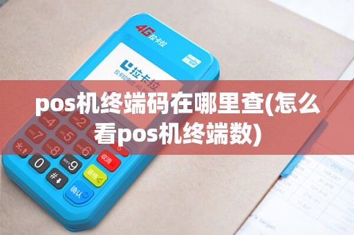 pos机终端码在哪里查(怎么看pos机终端数)