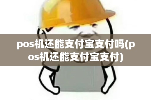 pos机还能支付宝支付吗(pos机还能支付宝支付)