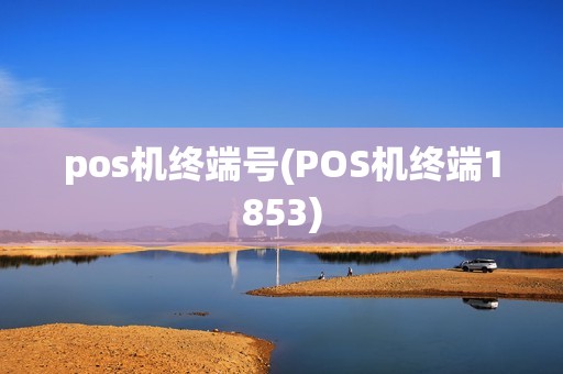 pos机终端号(POS机终端1853)