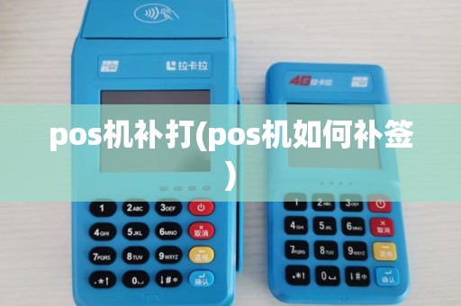 pos机补打(pos机如何补签)