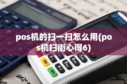 pos机的扫一扫怎么用(pos机扫街心得6)