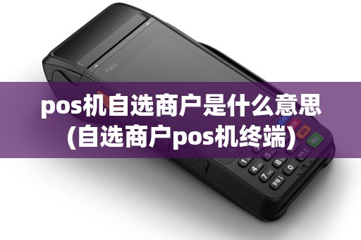 pos机自选商户是什么意思(自选商户pos机终端)