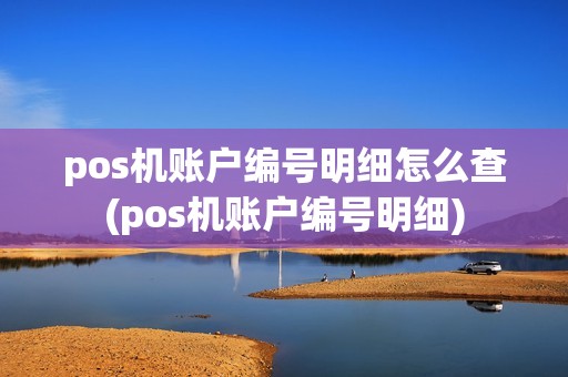 pos机账户编号明细怎么查(pos机账户编号明细)