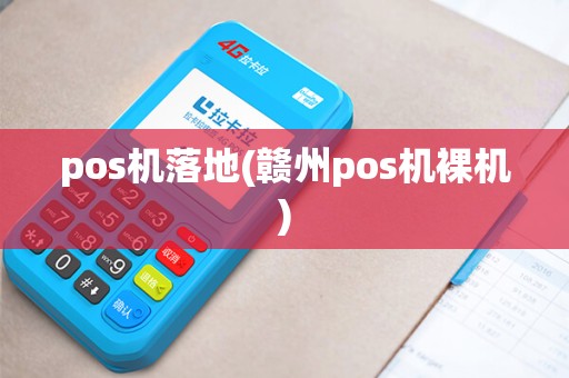 pos机落地(赣州pos机裸机)