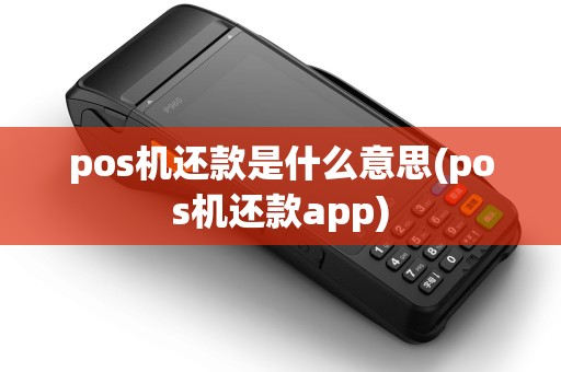 pos机还款是什么意思(pos机还款app)