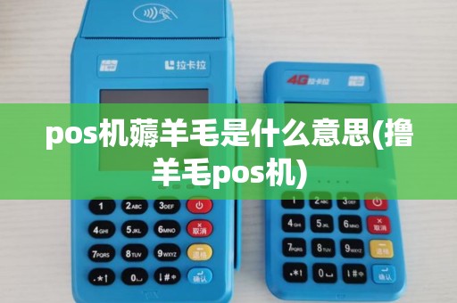pos机薅羊毛是什么意思(撸羊毛pos机)