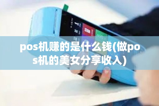 pos机赚的是什么钱(做pos机的美女分享收入)