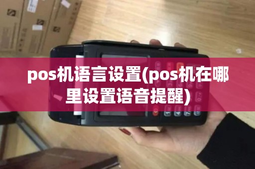 pos机语言设置(pos机在哪里设置语音提醒)