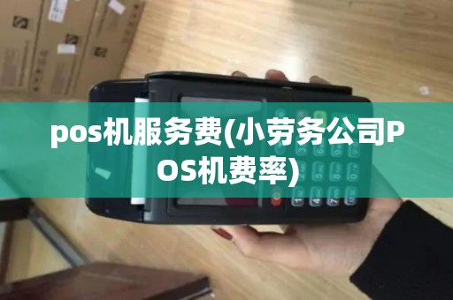 pos机服务费(小劳务公司POS机费率)