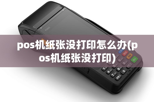 pos机纸张没打印怎么办(pos机纸张没打印)