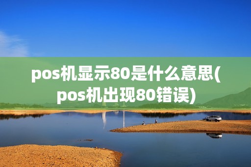 pos机显示80是什么意思(pos机出现80错误)