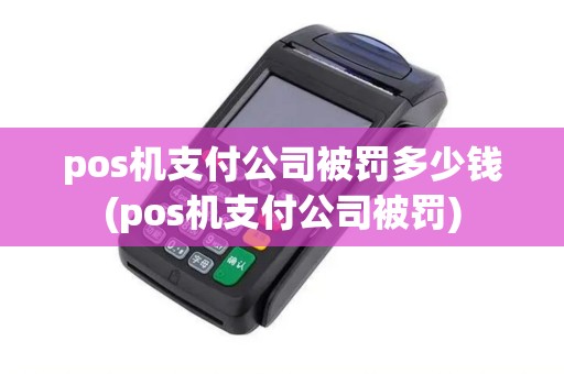 pos机支付公司被罚多少钱(pos机支付公司被罚)