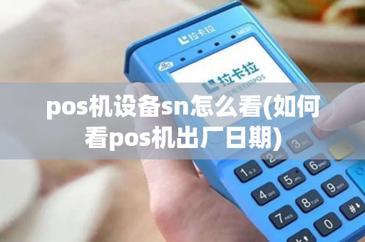 pos机设备sn怎么看(如何看pos机出厂日期)