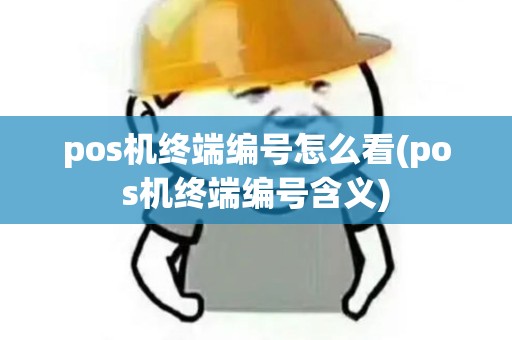 pos机终端编号怎么看(pos机终端编号含义)