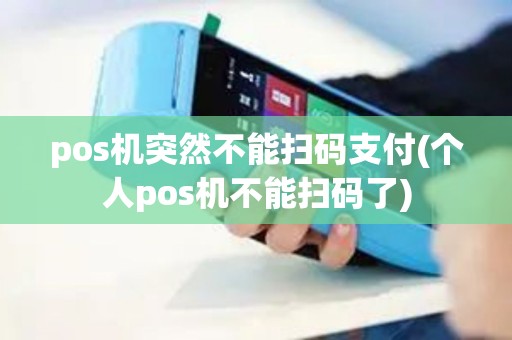 pos机突然不能扫码支付(个人pos机不能扫码了)